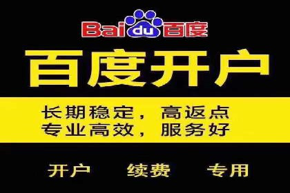百度竞价广告投放案例解析